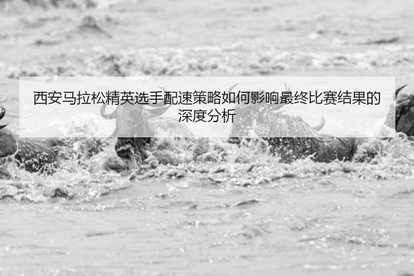 西安马拉松精英选手配速策略如何影响最终比赛结果的深度分析