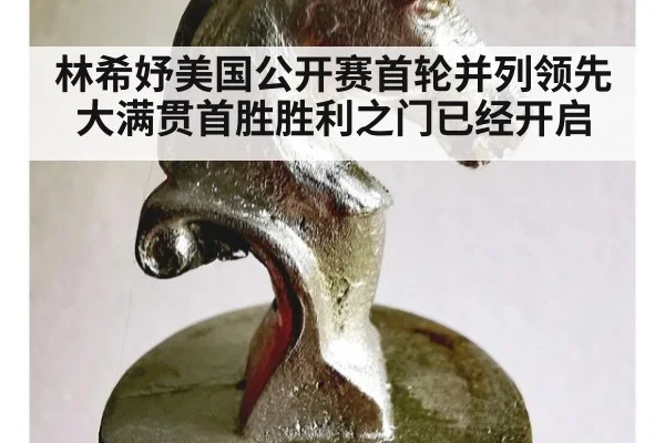 林希妤美国公开赛首轮并列领先大满贯首胜胜利之门已经开启
