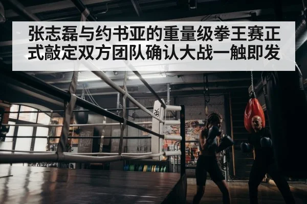 张志磊与约书亚的重量级拳王赛正式敲定双方团队确认大战一触即发
