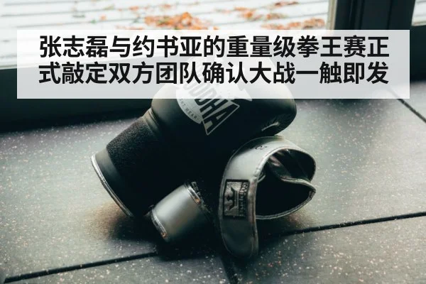 boxing gloves